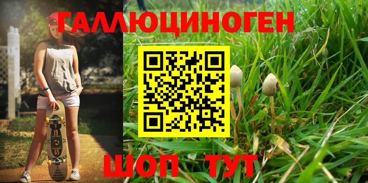 Галлюциногенные грибы Cubensis  Галлюциногенные грибы MAGIC MUSHROOMS  Вход с VPN  Гусиноозёрск 